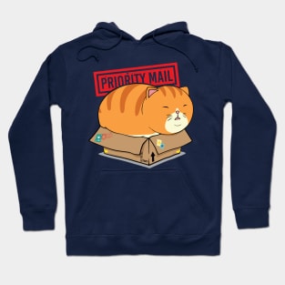 BOX CAT Hoodie